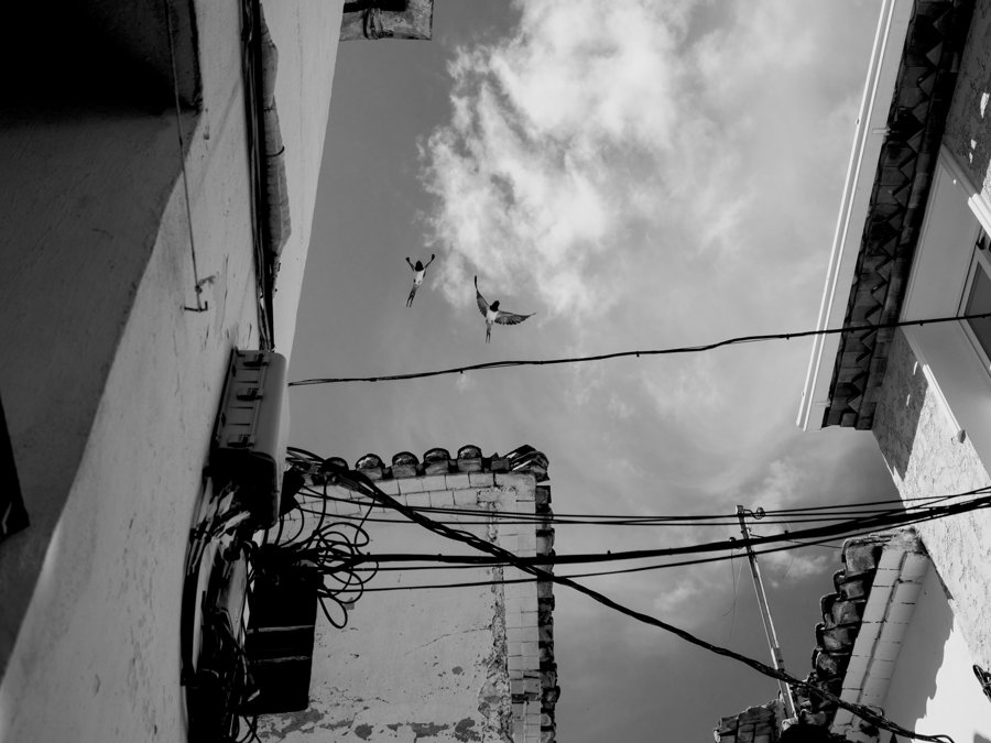 Aves sobre una calle estrecha y sus cables
